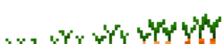 Морковь (фазы роста) (TerraFirmaCraft)