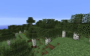 Берёзовый лес