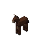 Жеребёнок мула