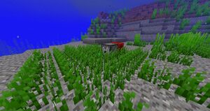 1.13 пре-релиз 3