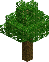 Дерево (джунгли)