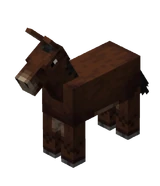 Лошадь (мул)