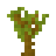 Саженец акации (до Texture Update)