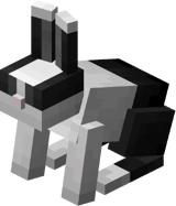 Тост кролик