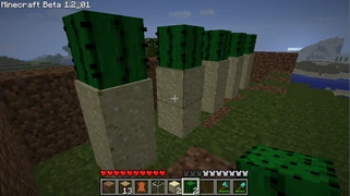 Этап 4. Увеличьте стену сзади и по бокам на 1 блок в высоту; посадите кактусы.