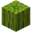 Арбуз
