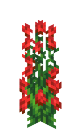 Розовый куст