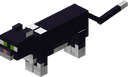 Чёрно-белая кошка.png