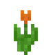 Оранжевый тюльпан (до Texture Update)