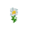Нивяник