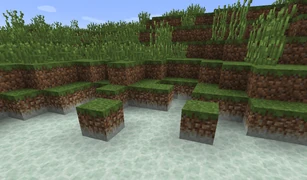 Природная генерация заросшего слабого солончака. По краям видны соляные отложения.