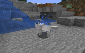 Частица splash