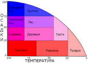 График генерации биомов