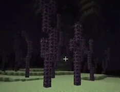 Первый скриншот, на котором показано растение