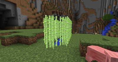 SimpleReedfarm-5