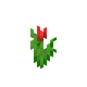 Красный тюльпан.png