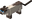 Сиамская кошка