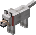 Волк (приручённый)