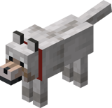 Волк (прирученный)