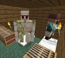 Голем свежий