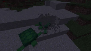 Черепаха с детьми