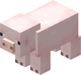 Бледная свинья