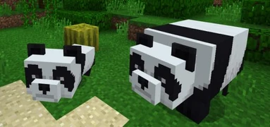 Панда со своим детёнышем