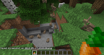 Пятое изображение кролика