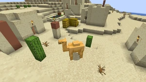 Верблюдина