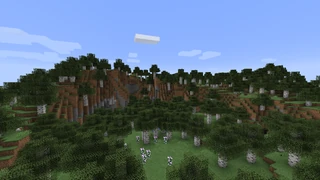 Холмистый березняк