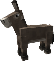 MoCre HorseDonkey