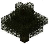 Каштан (TerraFirmaCraft)