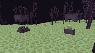 Два шалкера атакуют друг друга