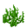 Морская трава