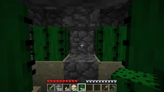 Шаг 6. Посадите кактусы.