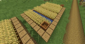 Villworkfarm2