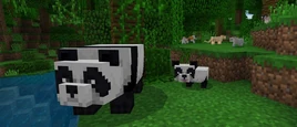 Bedrock 1.8