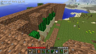 Етап 7. Зруйнуйте кожен другий блок в лінії, щоб над кактусами було порожньо.