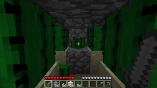 Крок 7. Готово. Бігайте по рядах, збираючи кактуси.