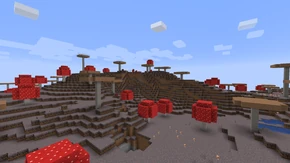 Грибні поля