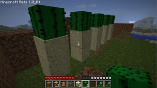 Етап 4. Збільште стіну позаду і з боків на 1 блок у висоту; посадіть кактуси.