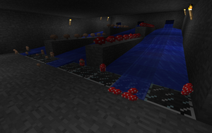 Automatic mushroom farm 12