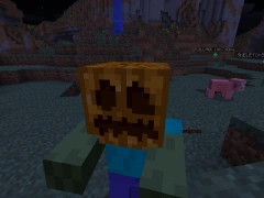 Зомбі з гарбузом на голові в 1.4.2 на 31 жовтня