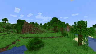 Околиці джунглів