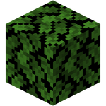 树叶 Minecraft Wiki 最详细的官方我的世界百科