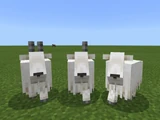 3 Goats 3 Horns.png