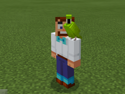 鹦鹉 Minecraft Wiki 最详细的官方我的世界百科 鹦鹉 Minecraft Wiki 最详细的官方我的世界百科