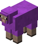 Magenta Sheep BE3