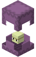 Purple Shulker JE1 BE1