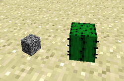 仙人掌 Minecraft Wiki 最详细的官方我的世界百科 仙人掌 Minecraft Wiki 最详细的官方我的世界百科